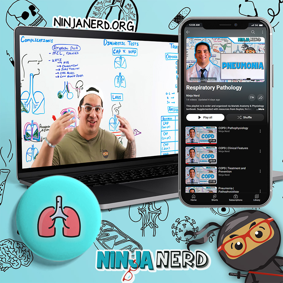 What's New Ninja Nerd